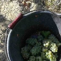 Der Herbst 2024